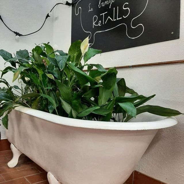 ReTaLLS bañera con plantas